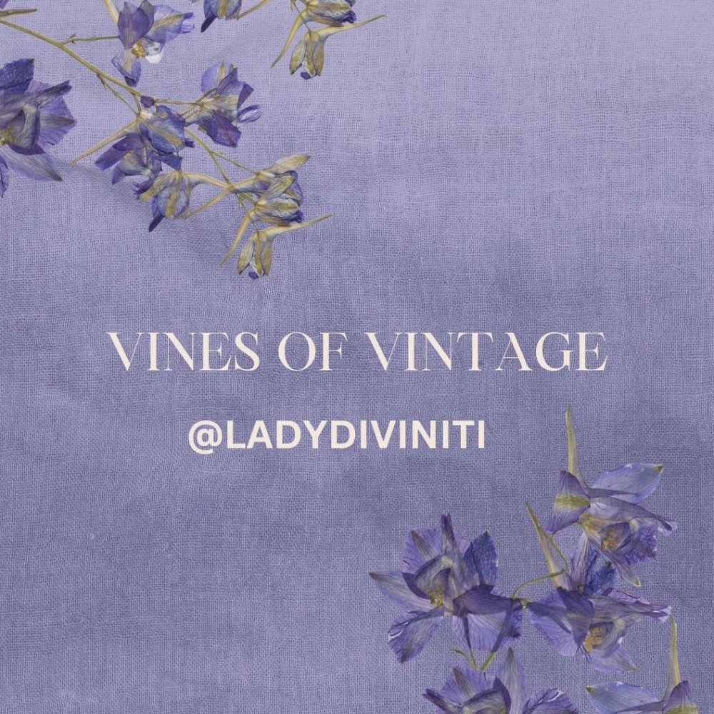 Meet your Posher, Lady D for Vines of Vintage